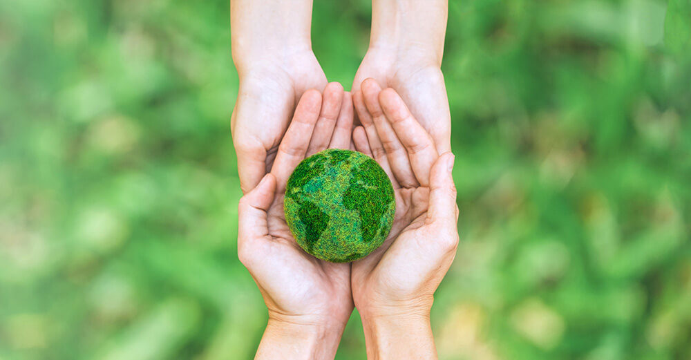 Sustainable alternative